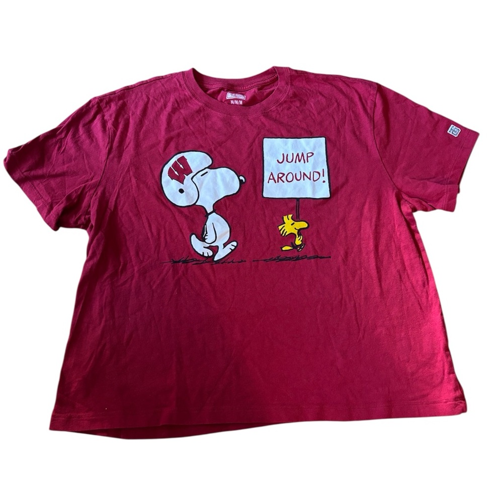 AMERICAN EAGLE TAILGATE X PEANUTS WISCONSIN BADGERS CROPPED TEE SIZE M